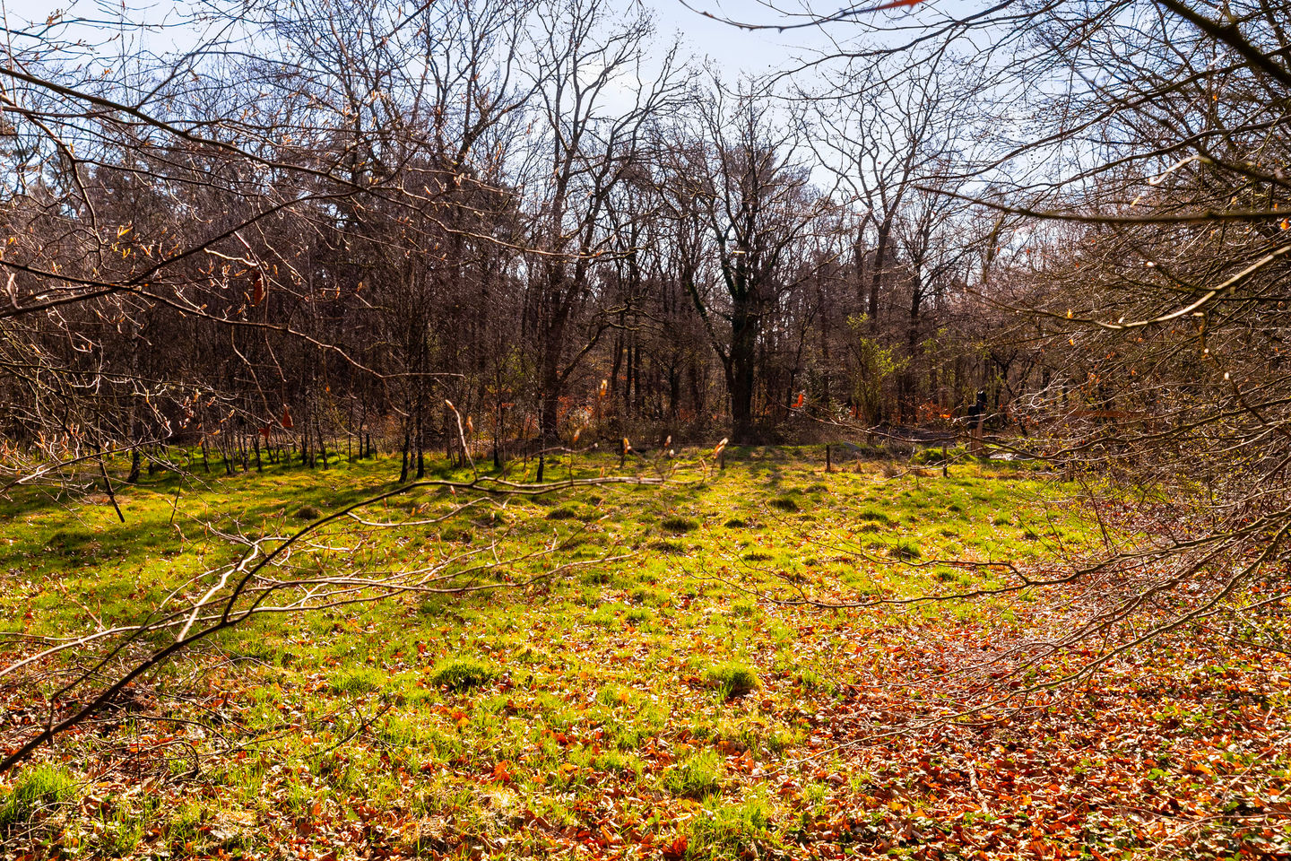 Foto 10 van Karel van Gelreweg 15