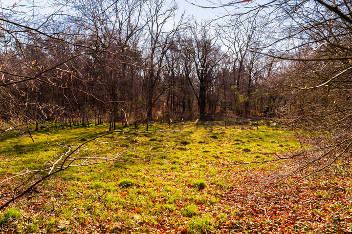 Foto 10 van Karel van Gelreweg 15