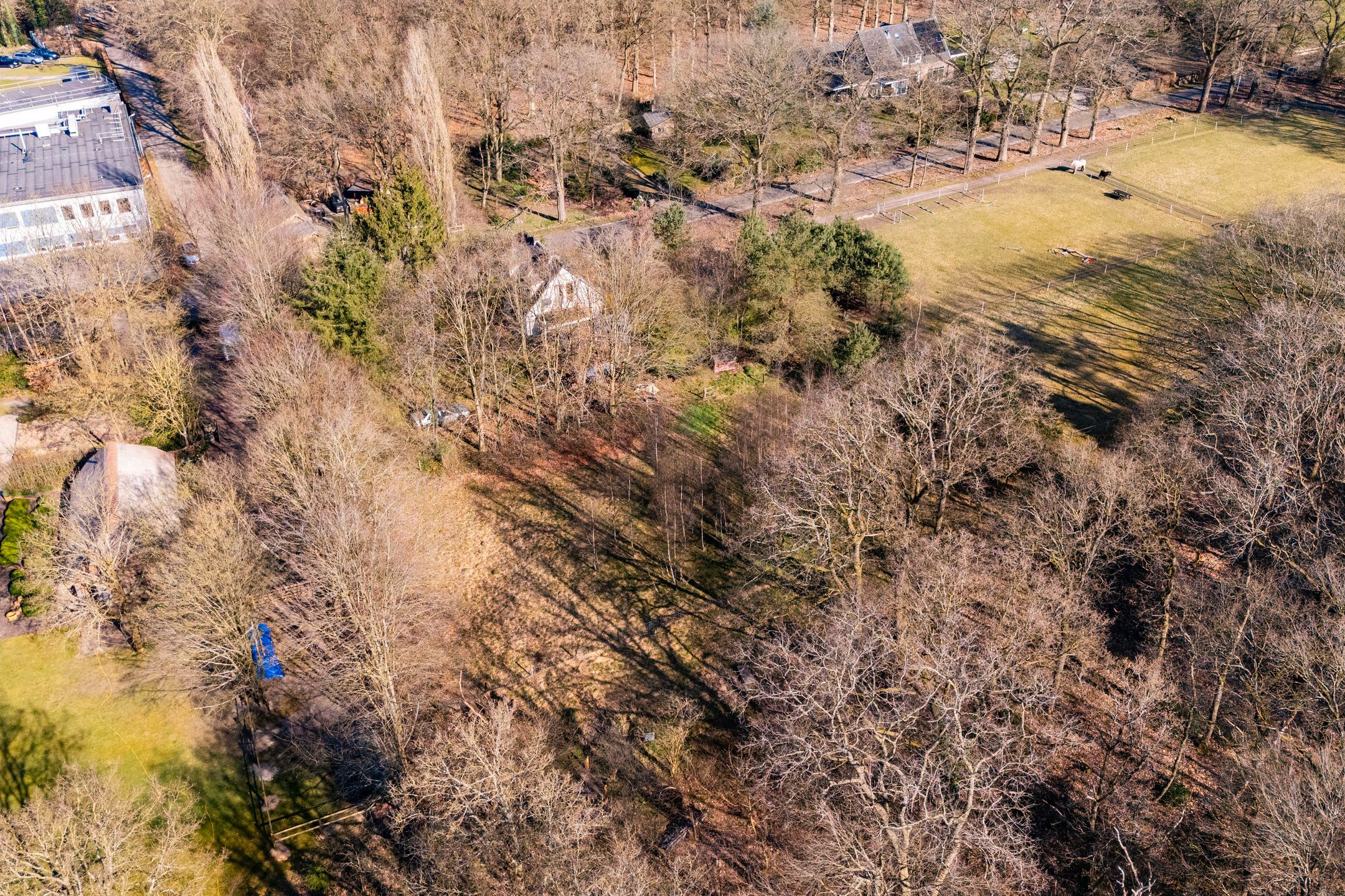 Foto 15 van Karel van Gelreweg 15