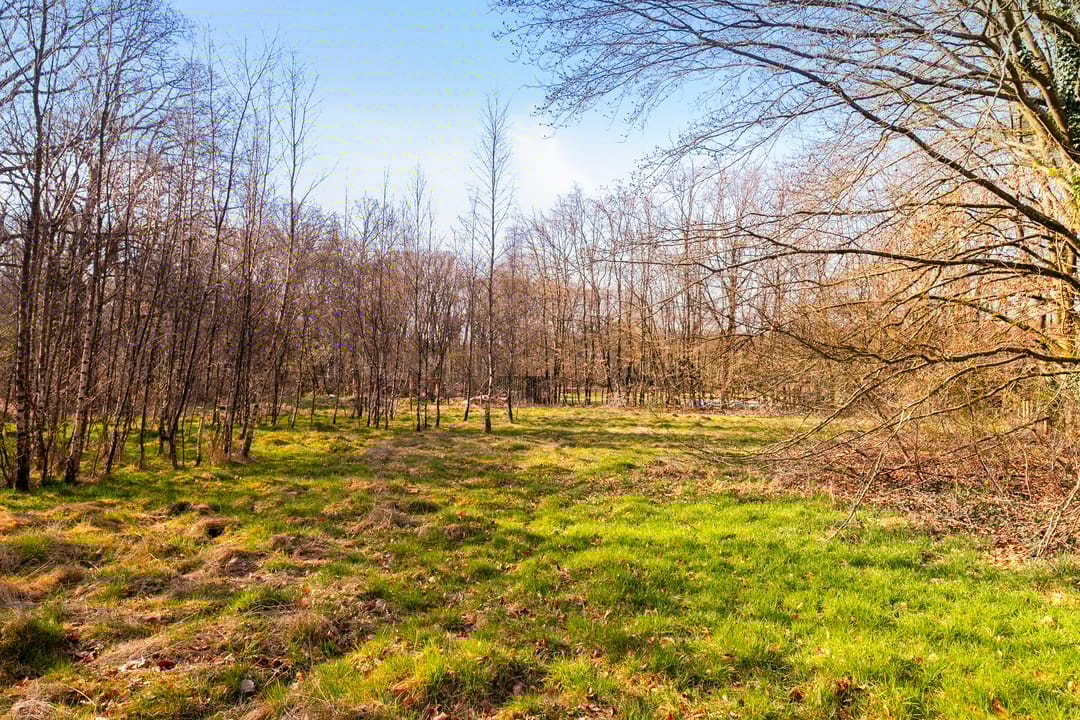 Foto 13 van Karel van Gelreweg 15