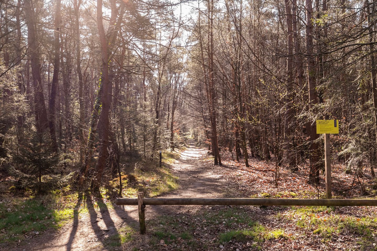 Foto 19 van Karel van Gelreweg 15