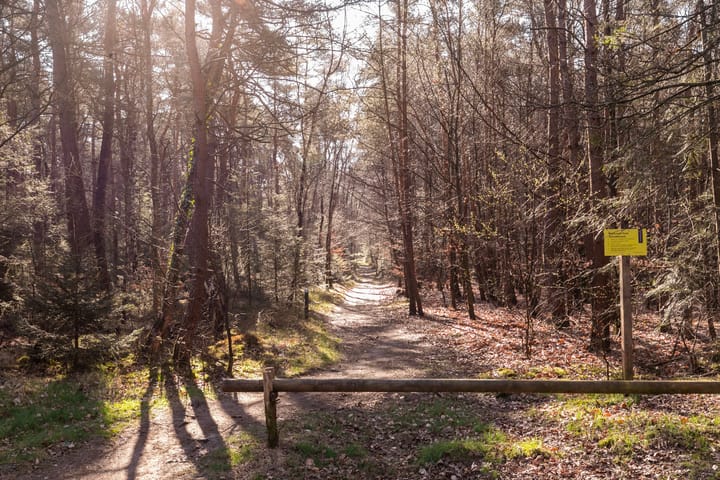 Foto 19 van Karel van Gelreweg 15