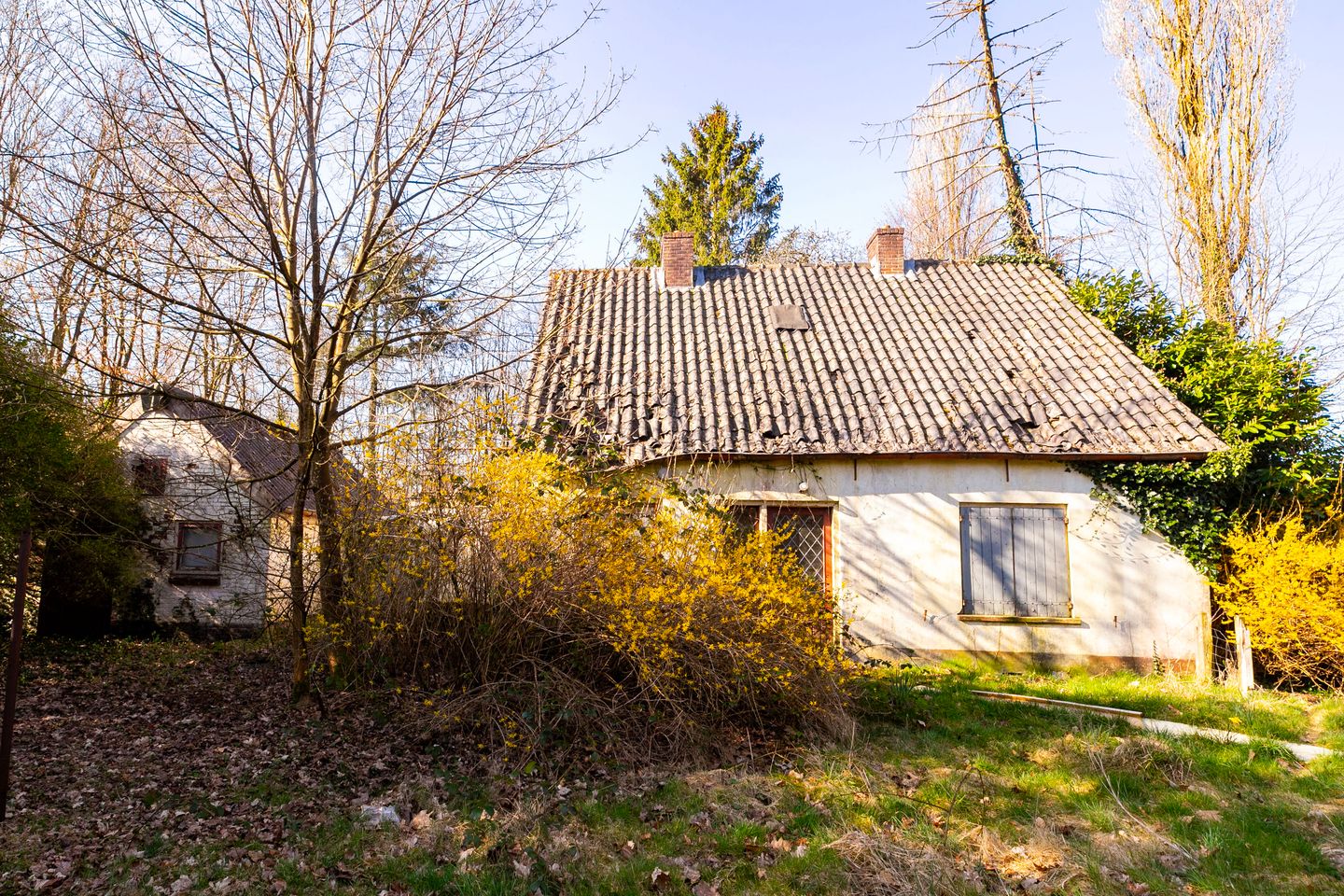 Foto 5 van Karel van Gelreweg 15