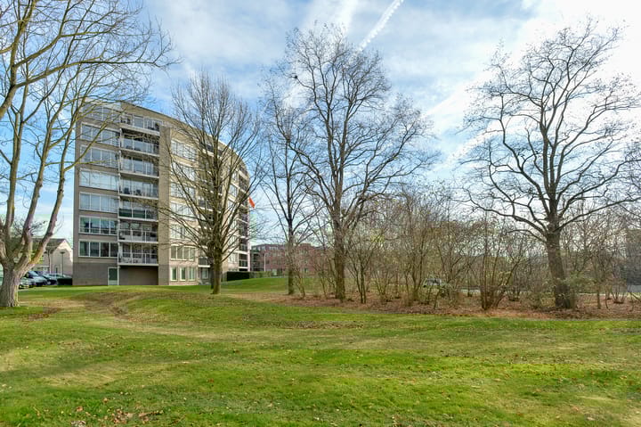 Foto 39 van Salviabeemd 39-H