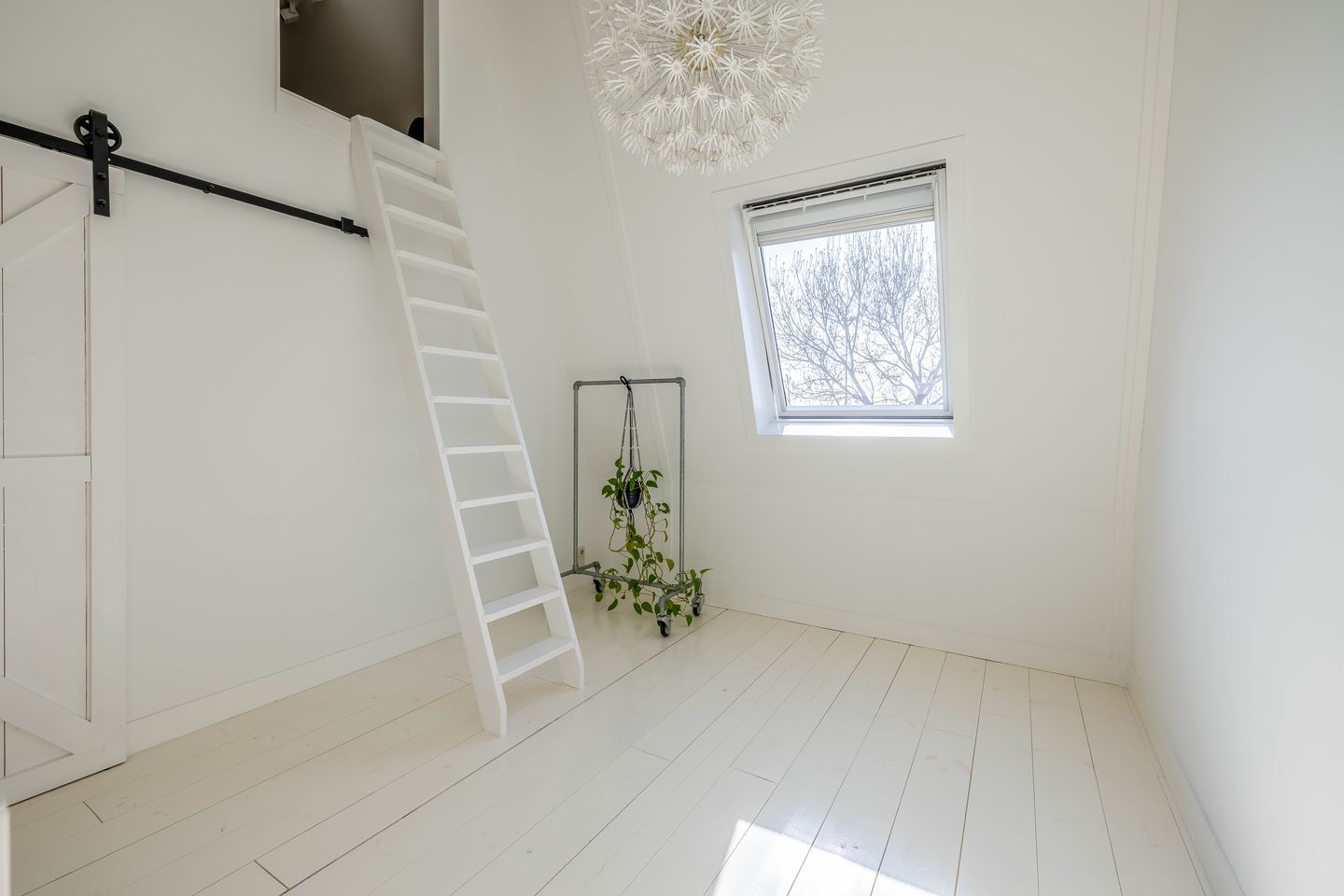 Photo 29 of Tirionstraat 1