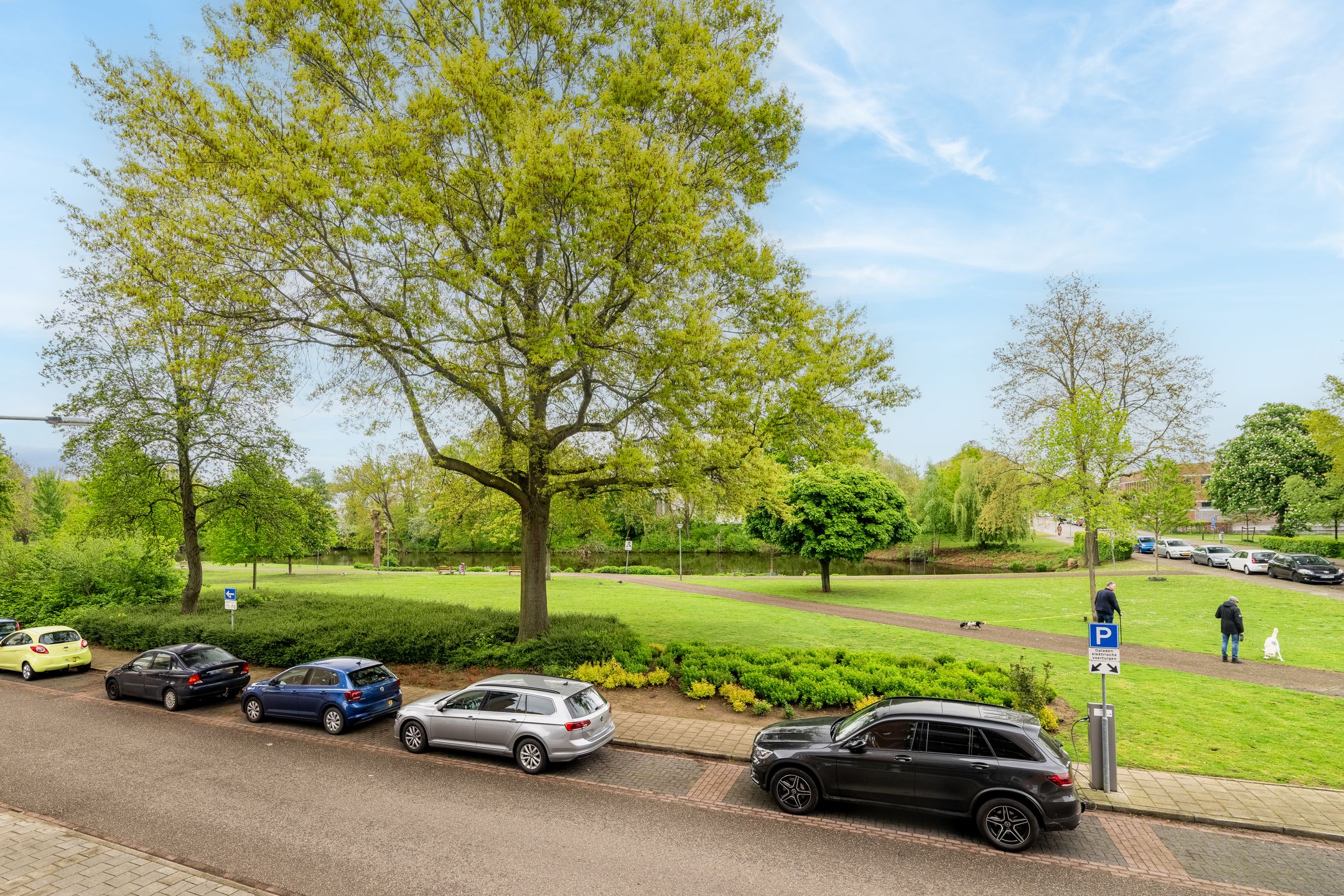 Foto 9 van Lindelaan 356