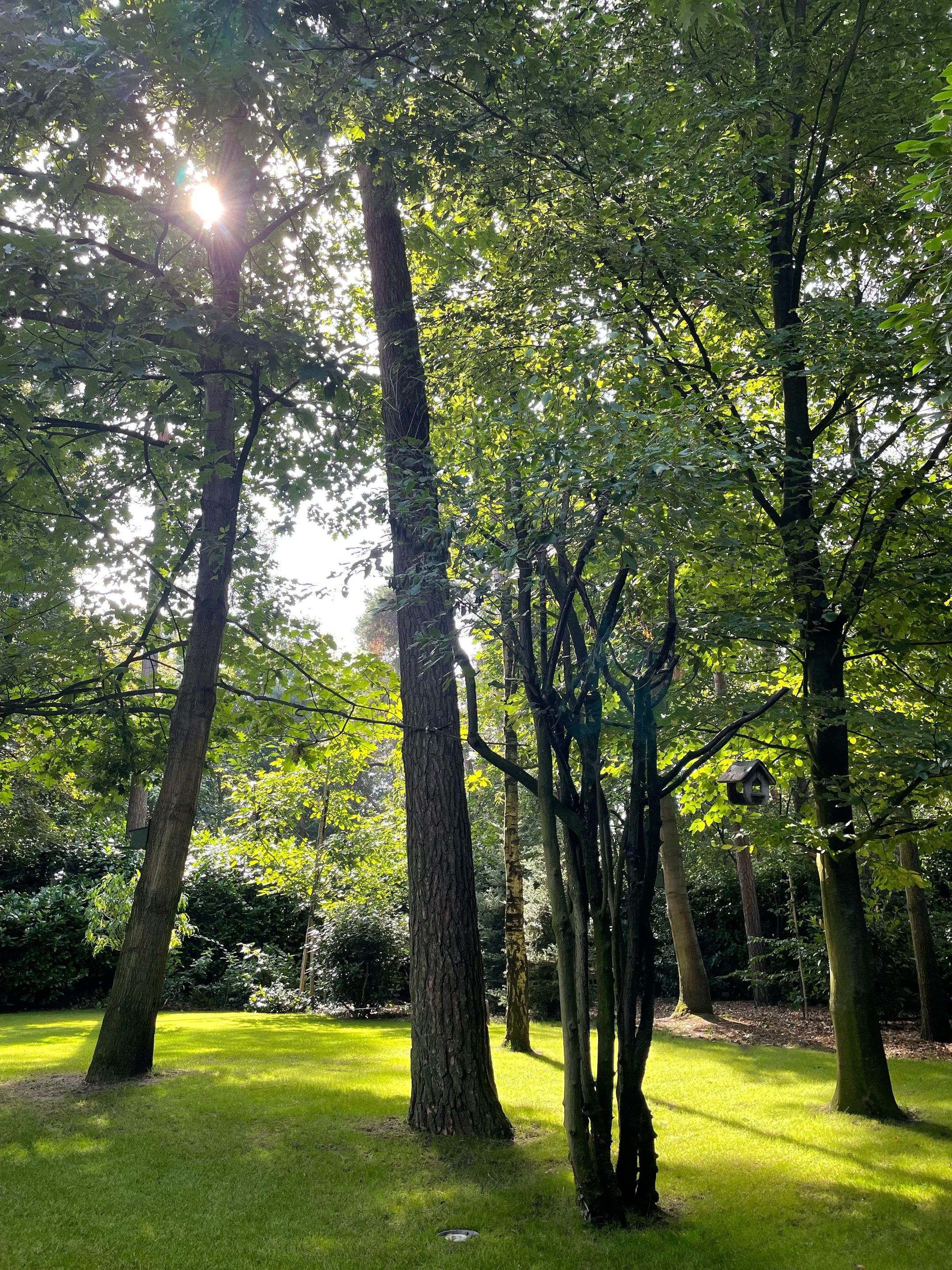 Foto 45 van Oekelsbos 57