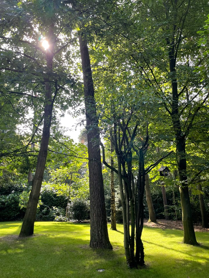 Foto 45 van Oekelsbos 57