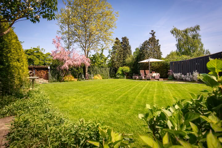 Foto 5 van Fortuinstraat 14