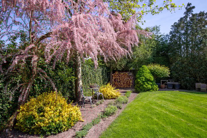 Photo 36 of Fortuinstraat 14