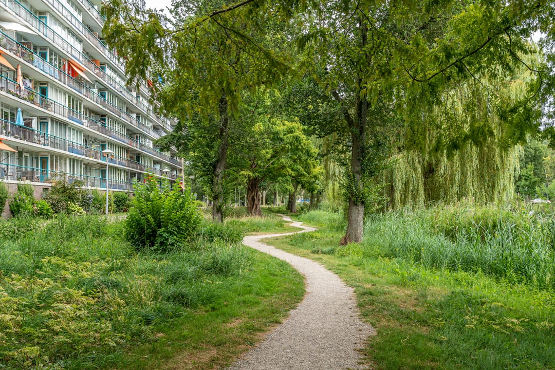 Photo 1 of Rhodosdreef 106