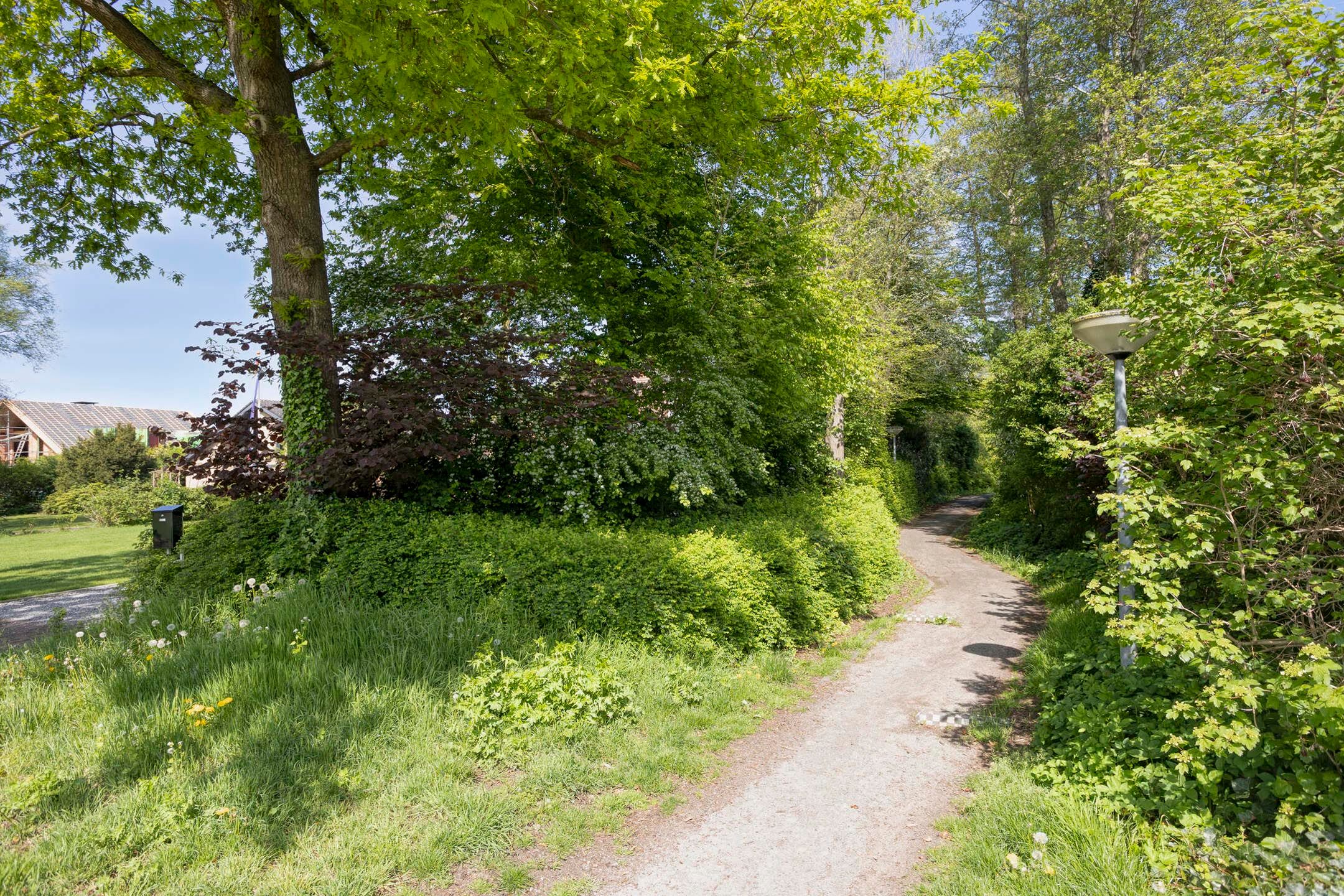 Foto 39 van Westerstouwe 25