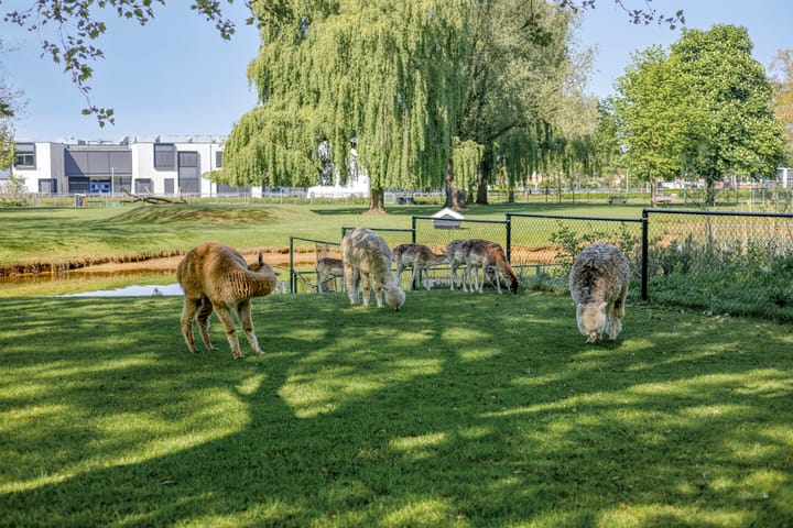 Photo 43 of Wentholtstraat 75