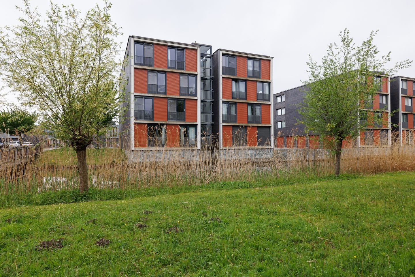 Photo 35 of De Fruittuinen 80