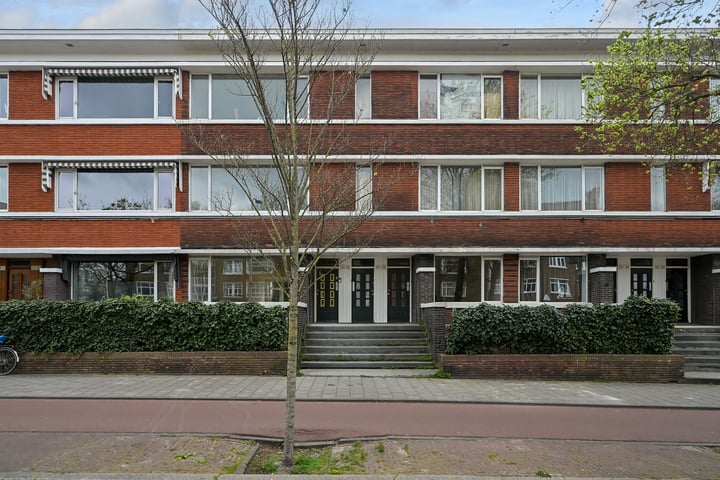Van Alkemadelaan 259