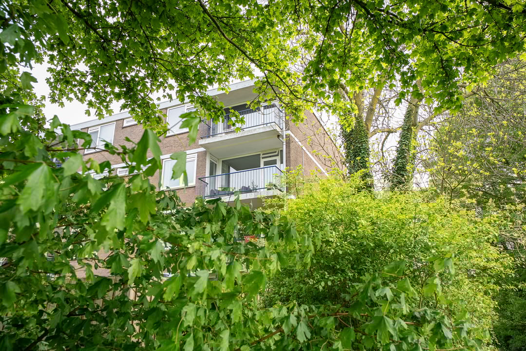 Foto 2 van Schuitenvoerderstraat 5