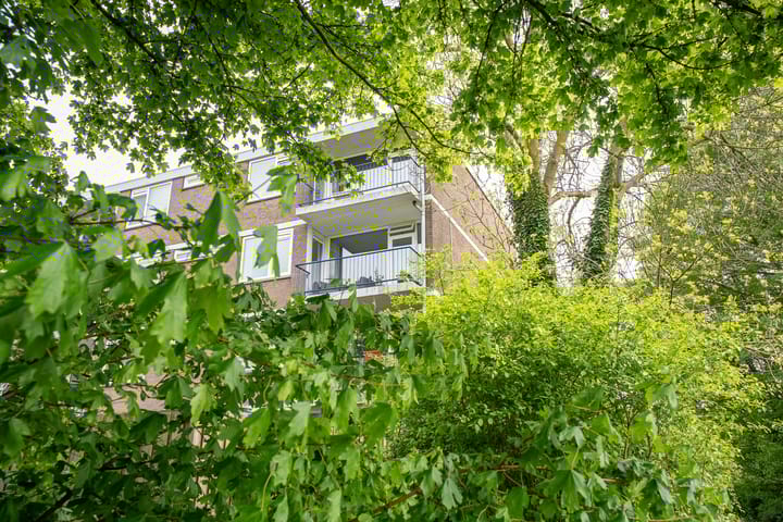 Foto 2 van Schuitenvoerderstraat 5