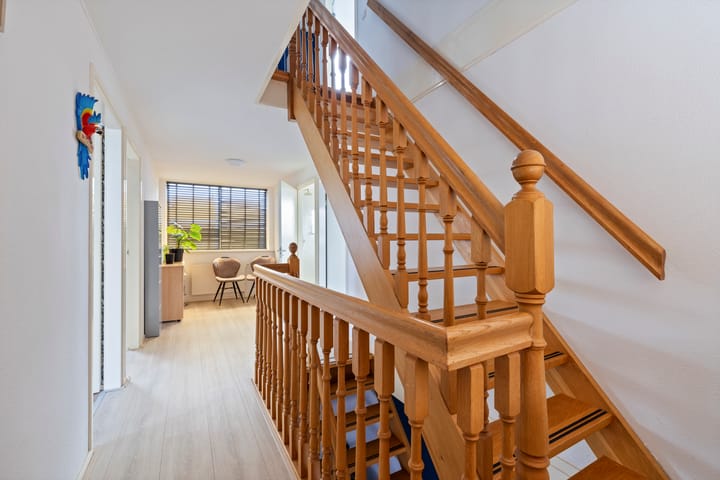 Photo 36 of Seefûgel 6