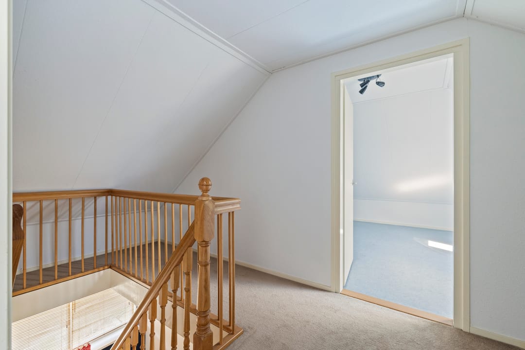 Photo 37 of Seefûgel 6