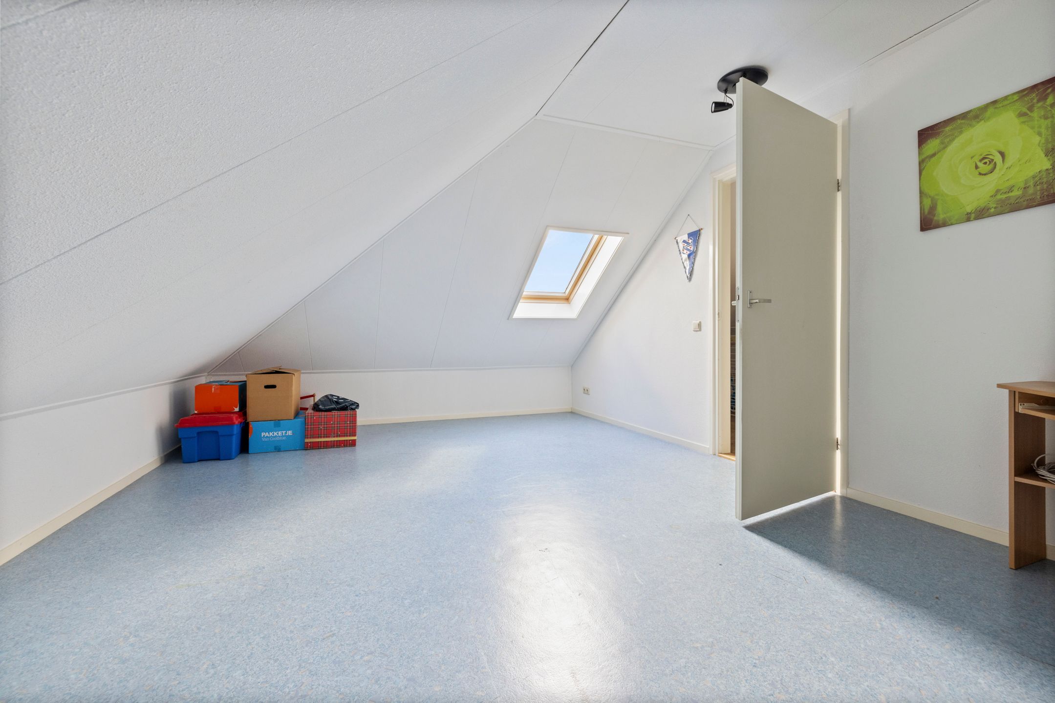 Photo 39 of Seefûgel 6