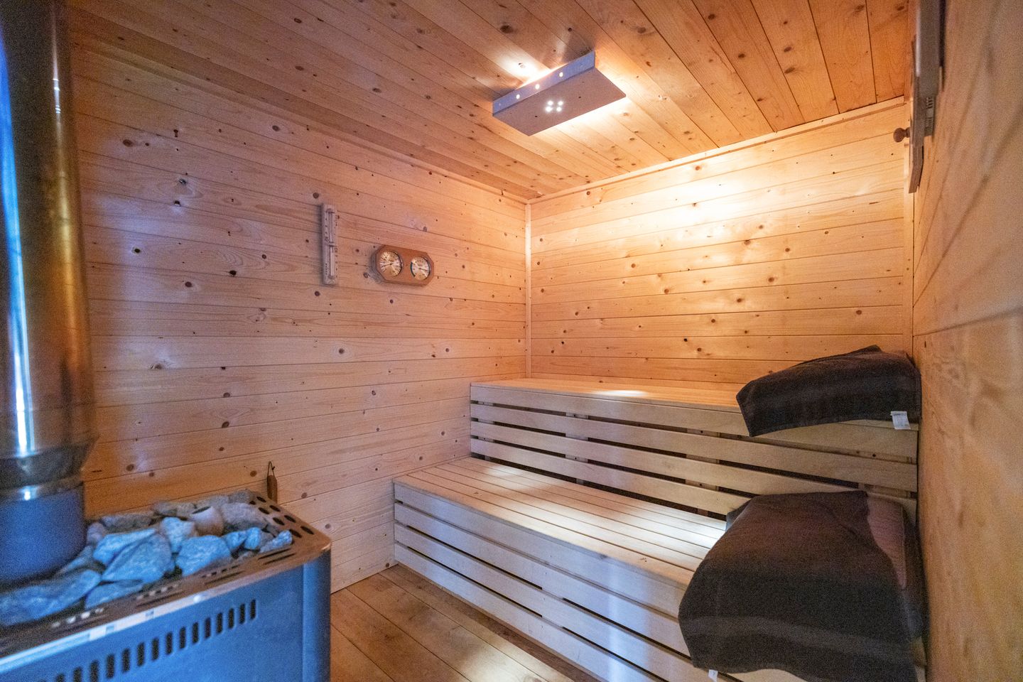 Photo 50 of Seefûgel 6