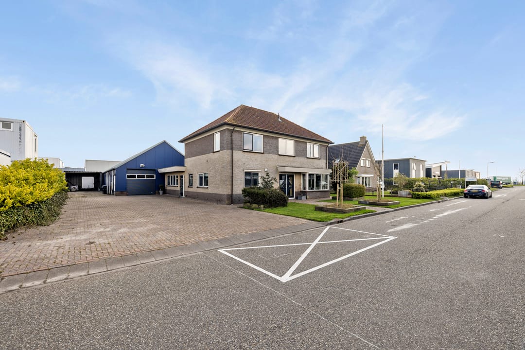 Photo 56 of Seefûgel 6