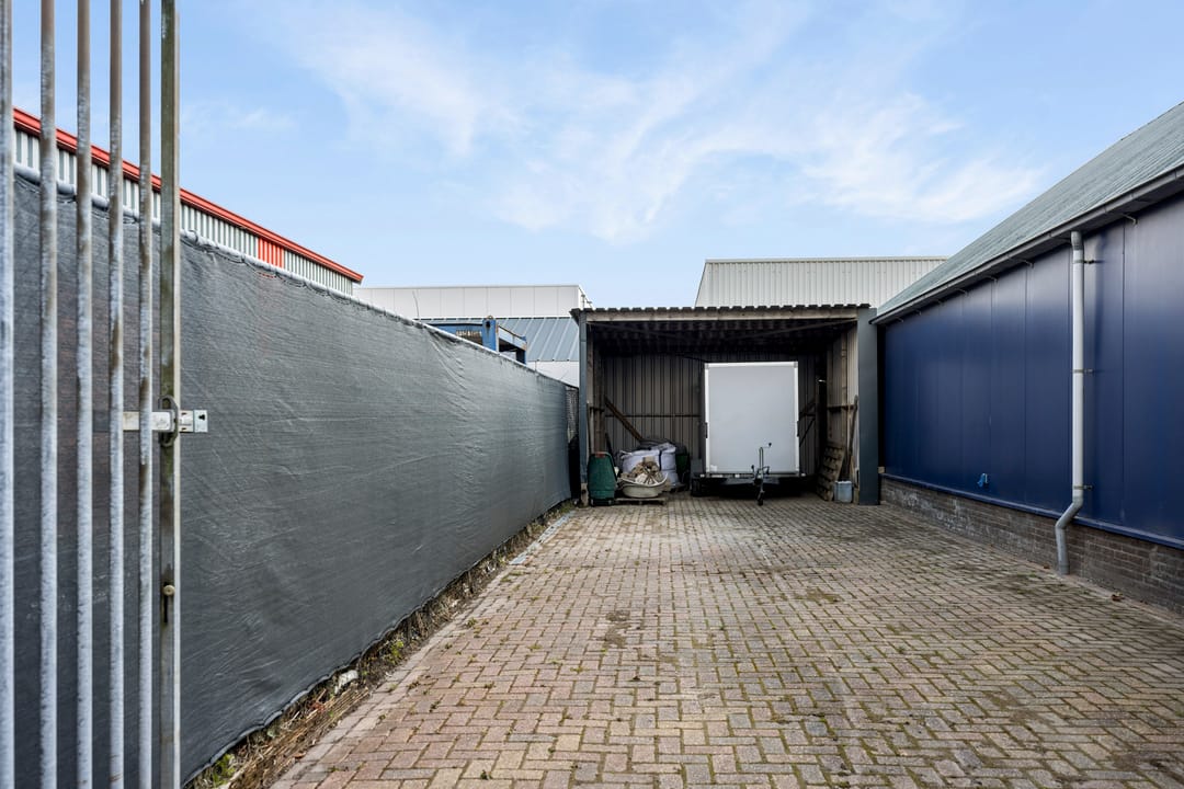 Photo 58 of Seefûgel 6