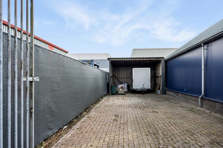 Photo 58 of Seefûgel 6