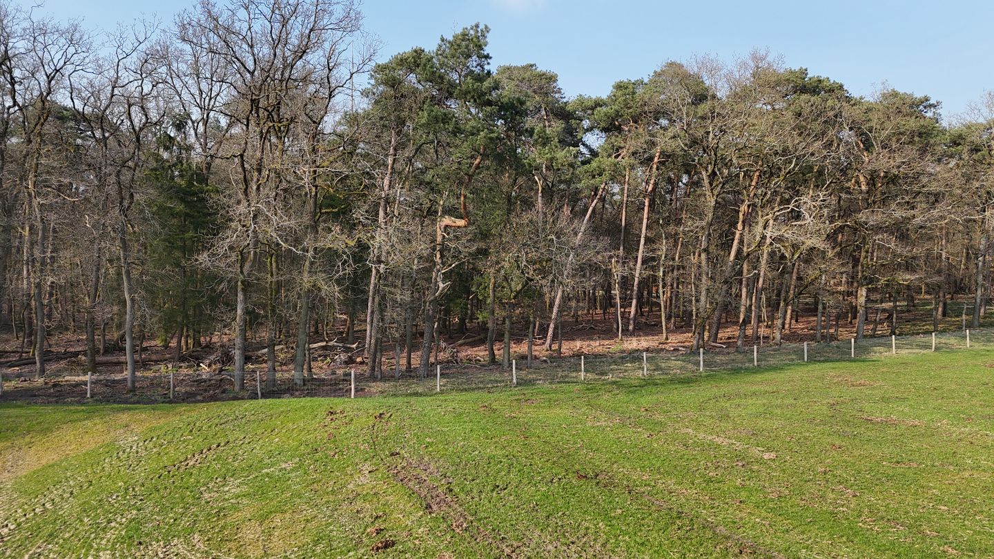 Foto 4 van Delerweg 9