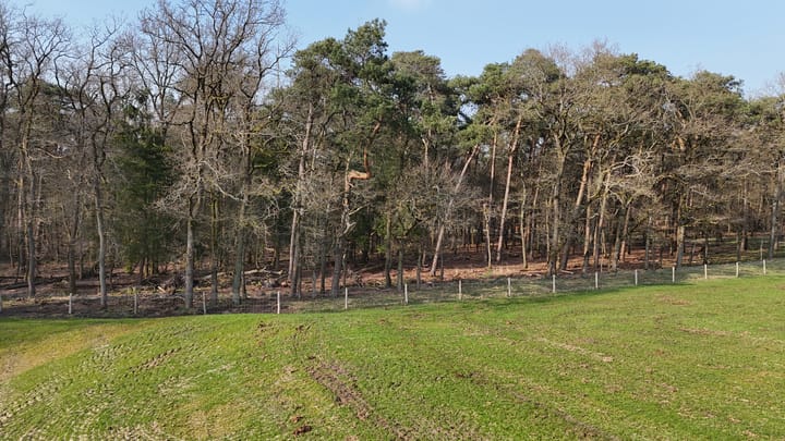 Foto 4 van Delerweg 9