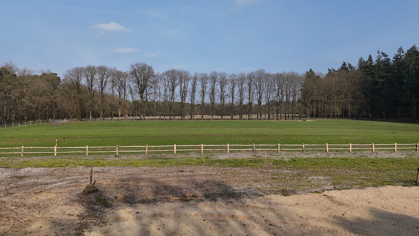 Foto 5 van Delerweg 9