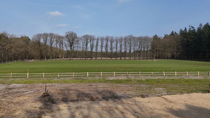 Foto 5 van Delerweg 9