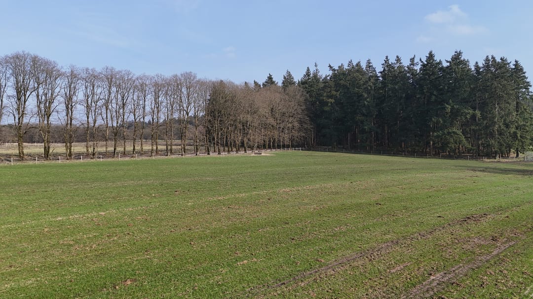 Foto 7 van Delerweg 9