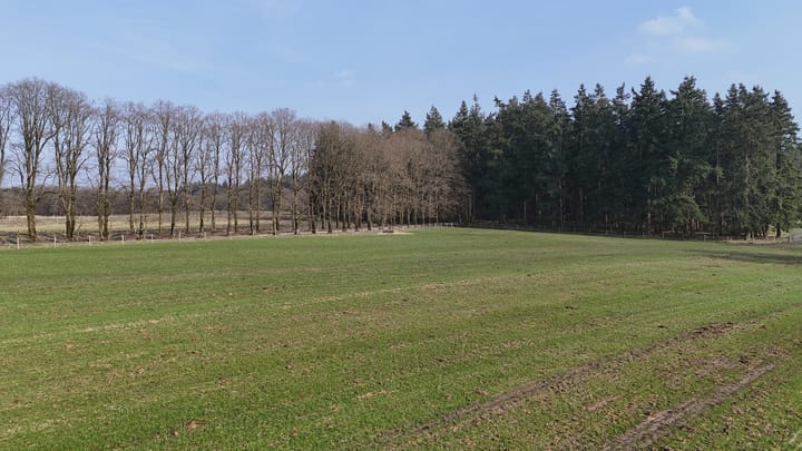 Foto 7 van Delerweg 9