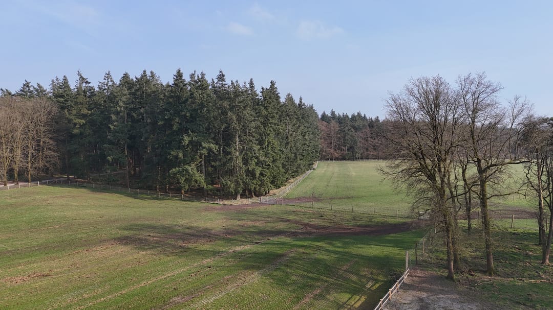 Foto 8 van Delerweg 9