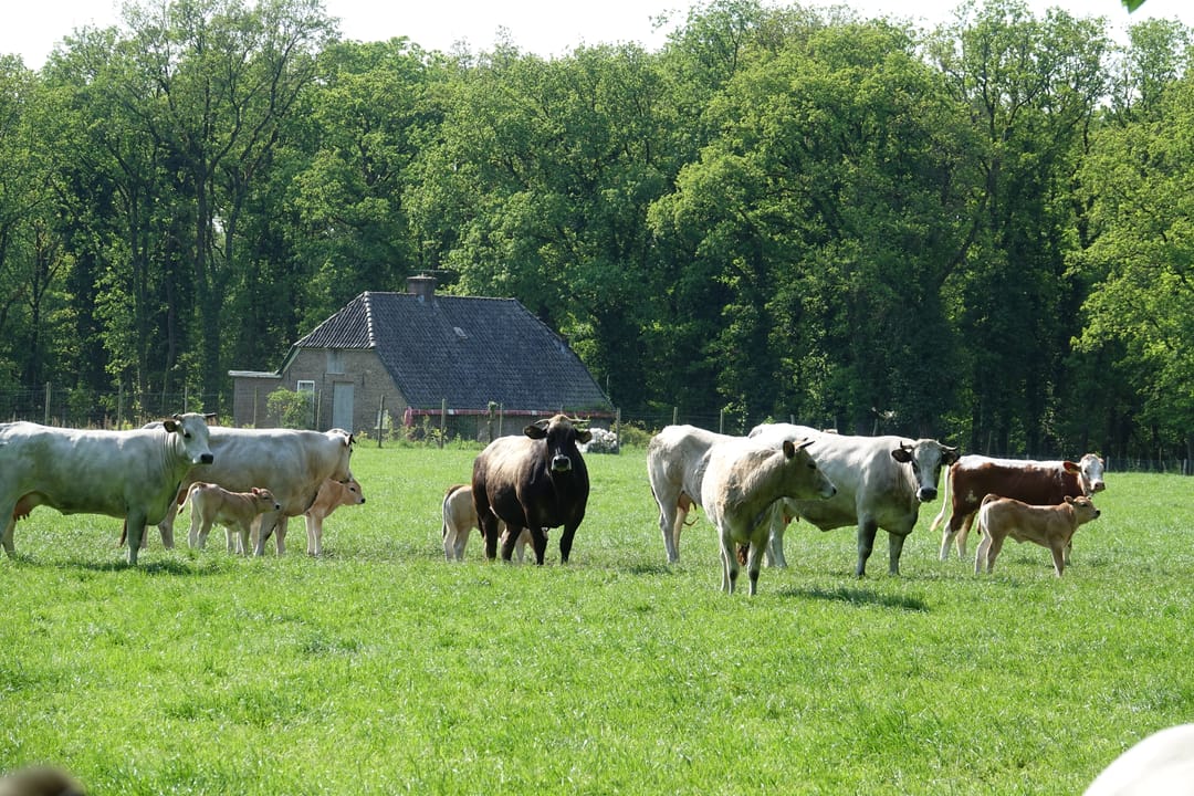 Foto 17 van Delerweg 9