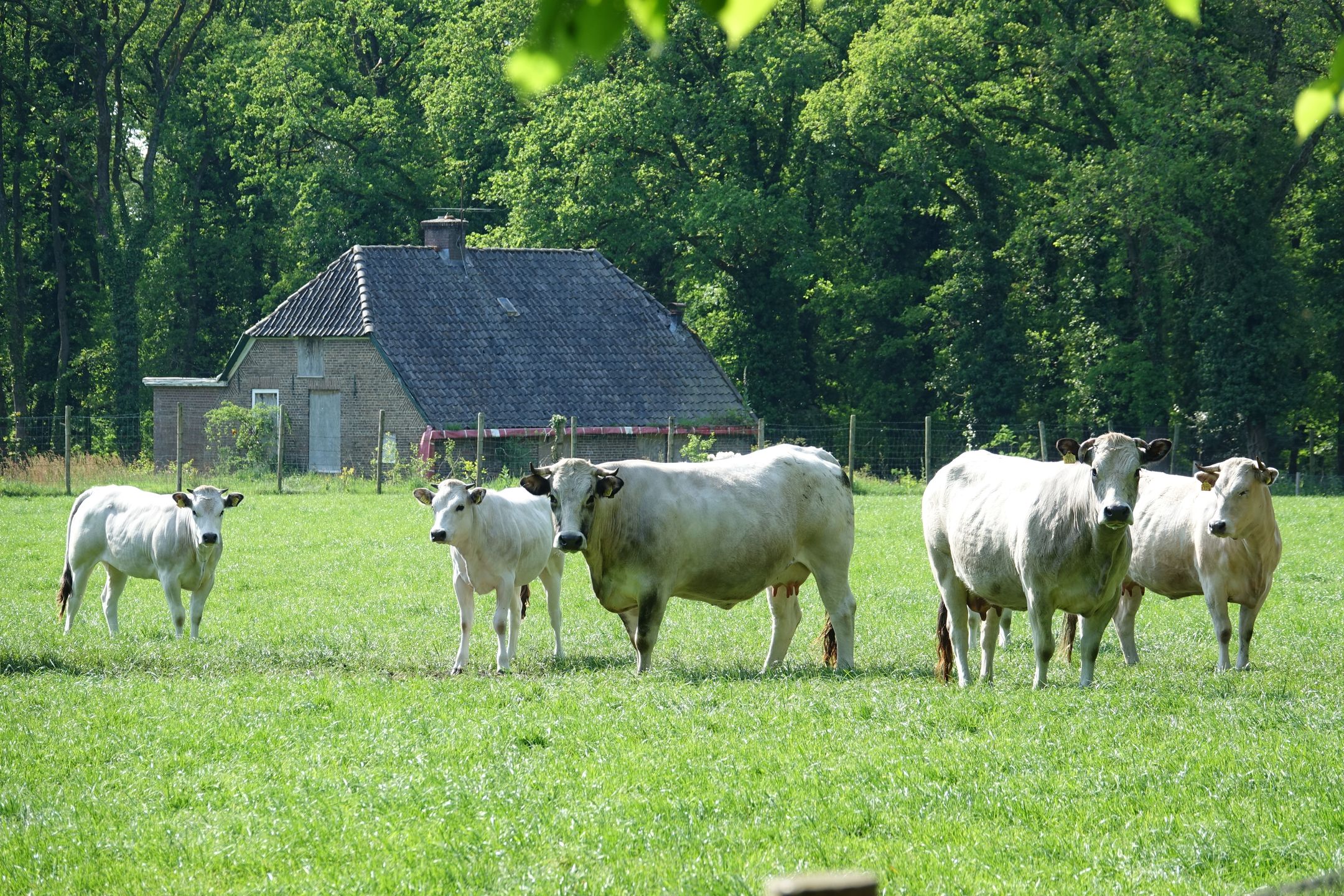 Foto 18 van Delerweg 9