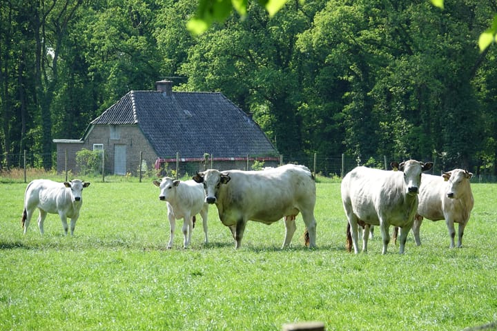 Foto 18 van Delerweg 9