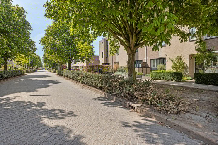 Foto 2 van Kastanjeberg 25