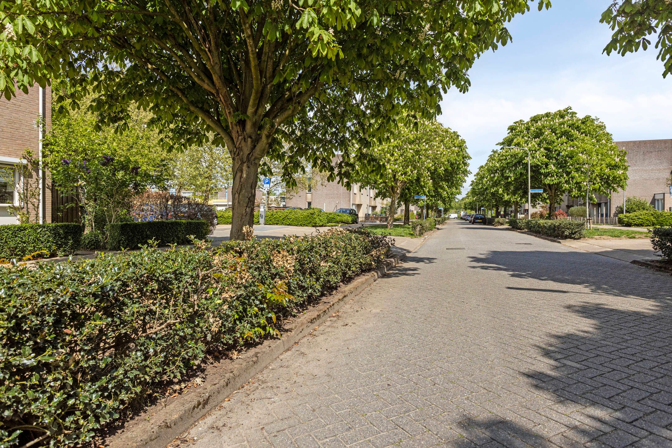 Foto 3 van Kastanjeberg 25