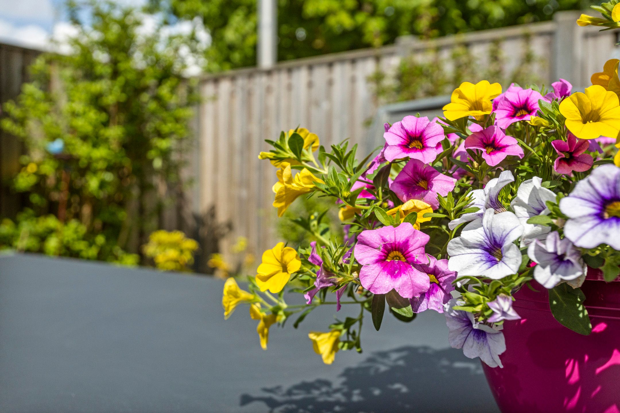 Foto 30 van Kastanjeberg 25