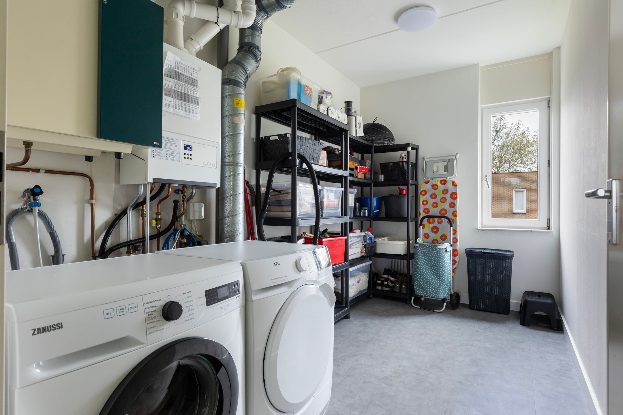 Foto 27 van Hoefblad 27