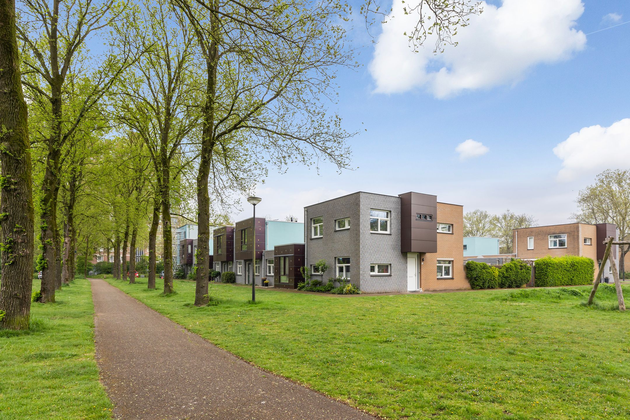 Foto 36 van Hoefblad 27