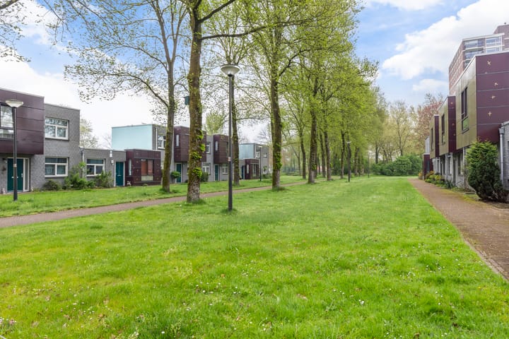 Foto 37 van Hoefblad 27