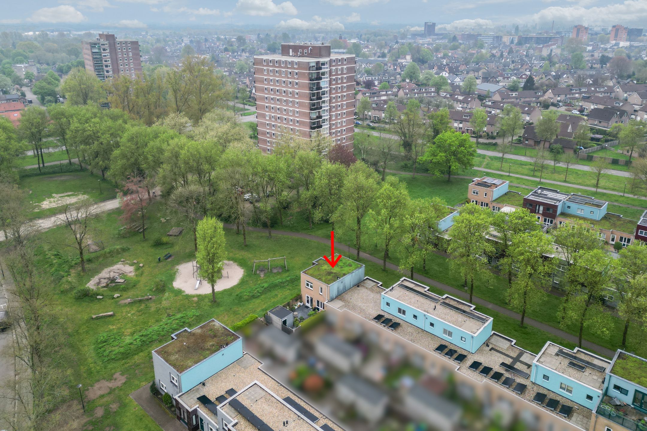 Foto 39 van Hoefblad 27