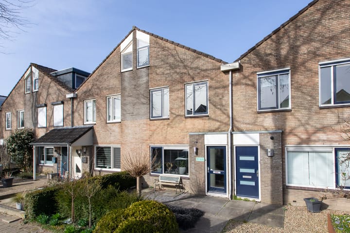 Foto 2 van Golden Delicious 105