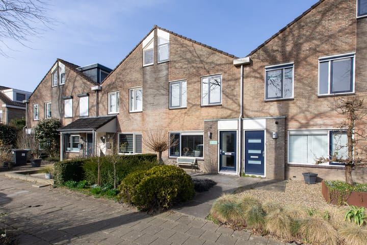 Foto 3 van Golden Delicious 105