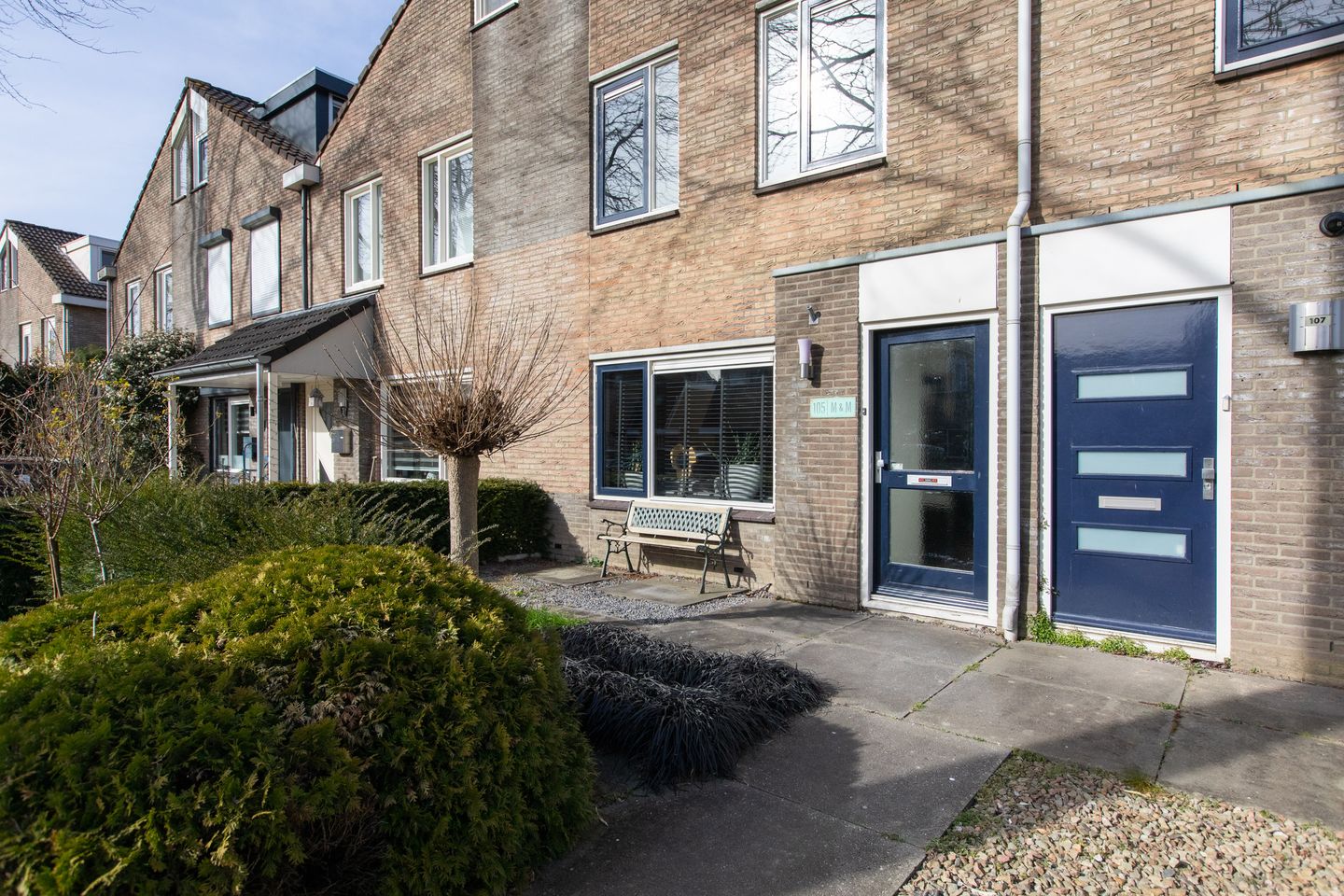 Foto 5 van Golden Delicious 105