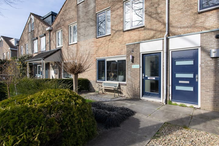 Foto 5 van Golden Delicious 105