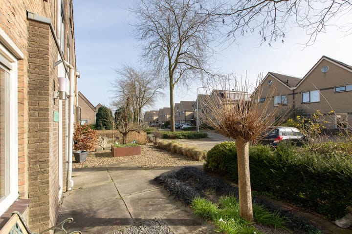 Foto 4 van Golden Delicious 105